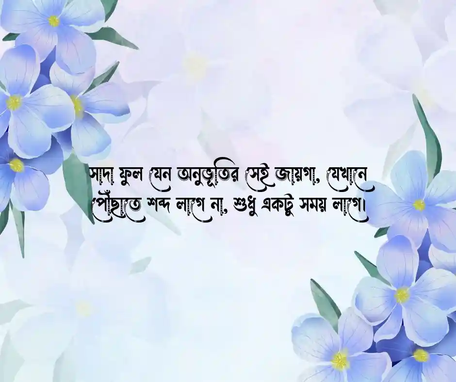 সাদা ফুল নিয়ে উক্তি