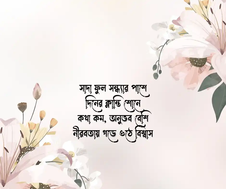 সাদা ফুল নিয়ে কবিতা