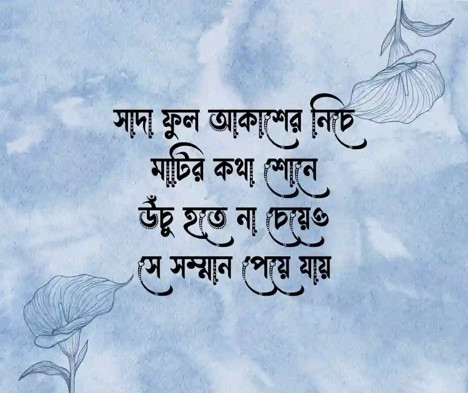 সাদা ফুল নিয়ে ছন্দ