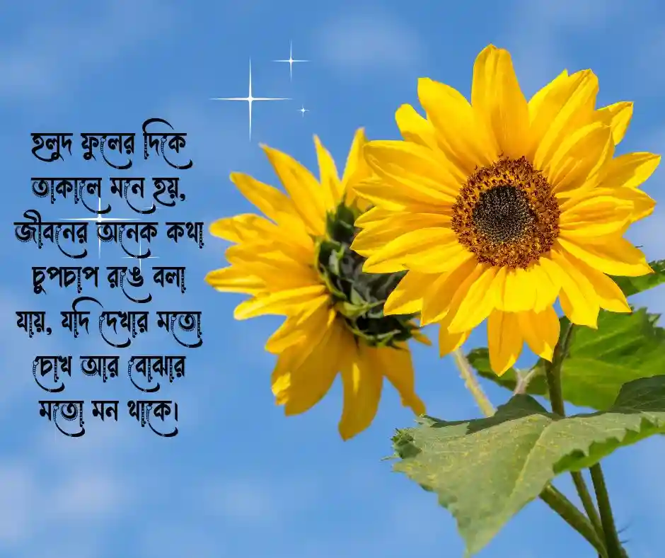 হলুদ ফুল নিয়ে ক্যাপশন