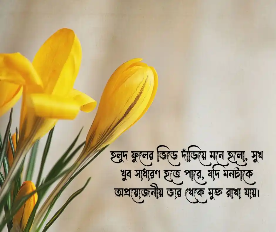 বসন্তের হলুদ ফুল নিয়ে ক্যাপশন