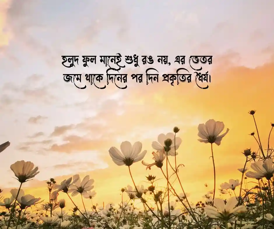 হলুদ ফুল নিয়ে উক্তি