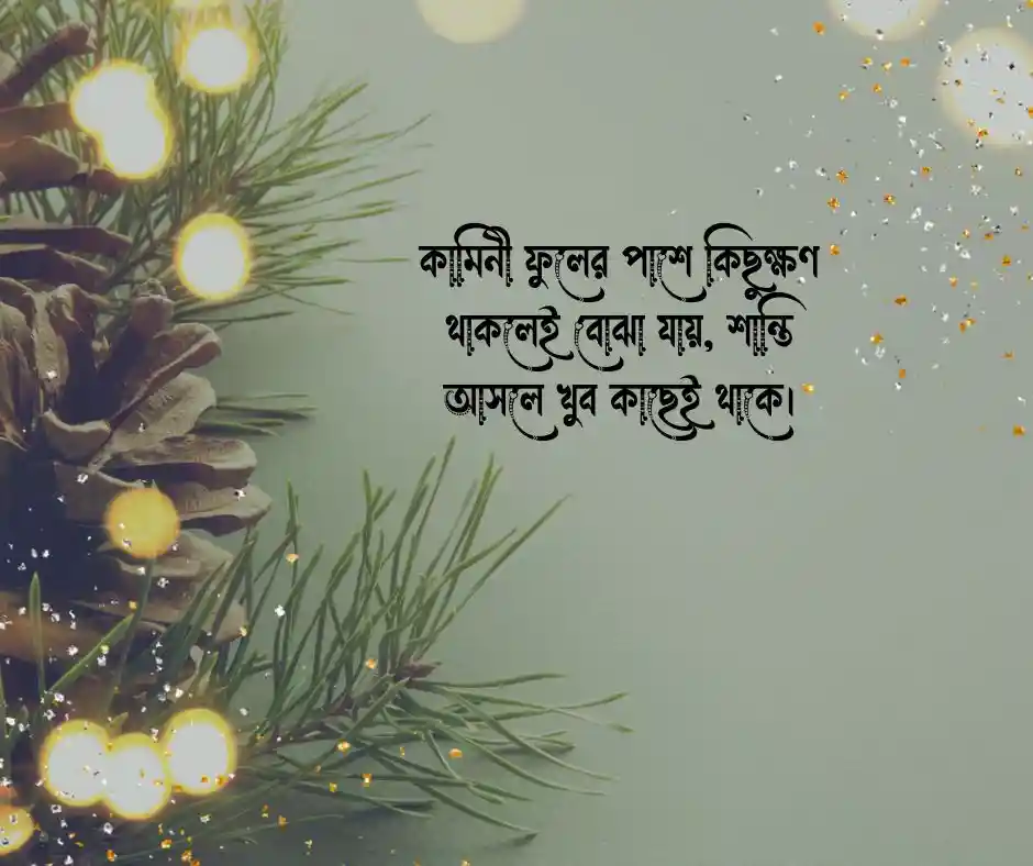 কামিনী ফুল নিয়ে উক্তি