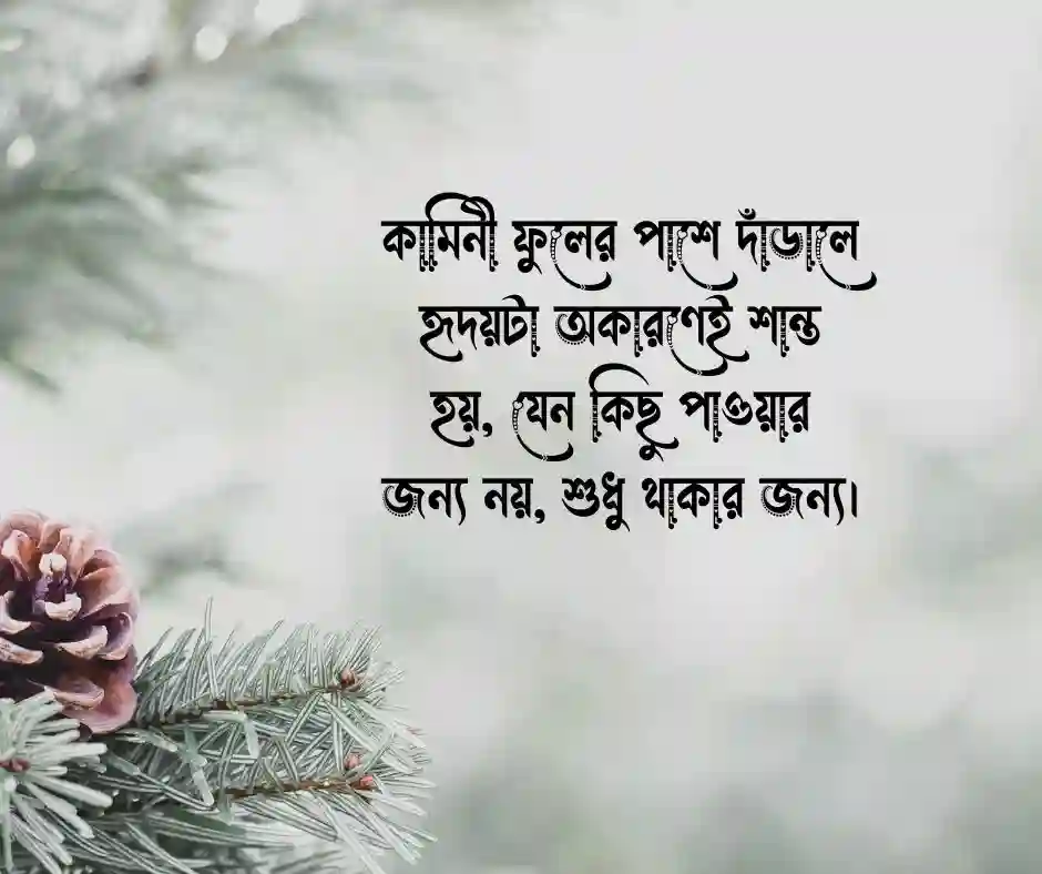 কামিনী ফুল নিয়ে স্ট্যাটাস