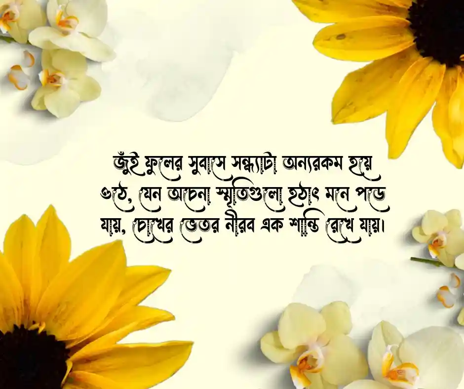 জুঁই ফুল নিয়ে ক্যাপশন