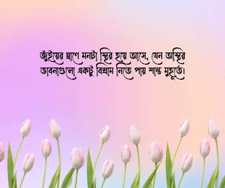 জুঁই ফুল নিয়ে স্ট্যাটাস