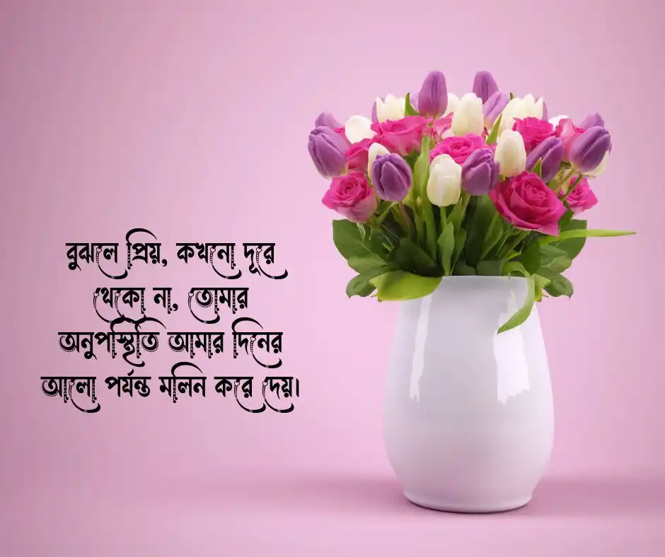 বুঝলে প্রিয় ক্যাপশন  বুঝলে প্রিয় স্ট্যাটাস