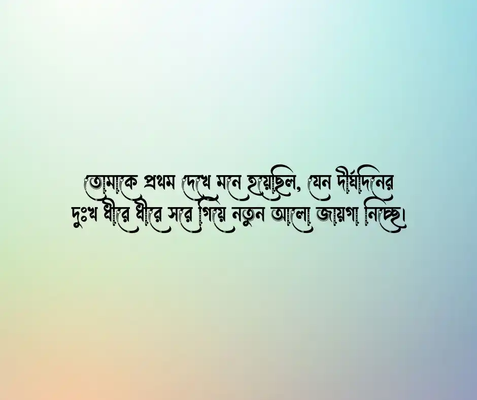 প্রথম দেখার অনুভূতি স্ট্যাটাস