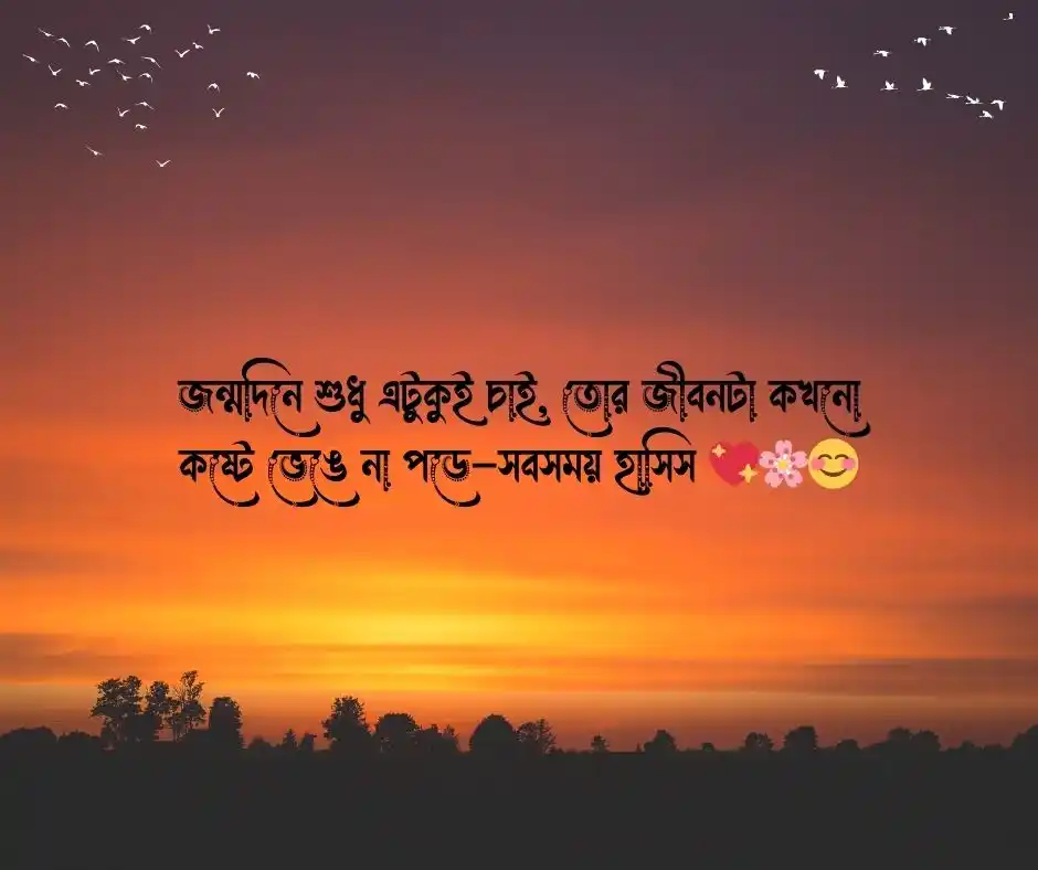 ছোট বোনের জন্মদিনের শুভেচ্ছা স্ট্যাটাস বাংলা