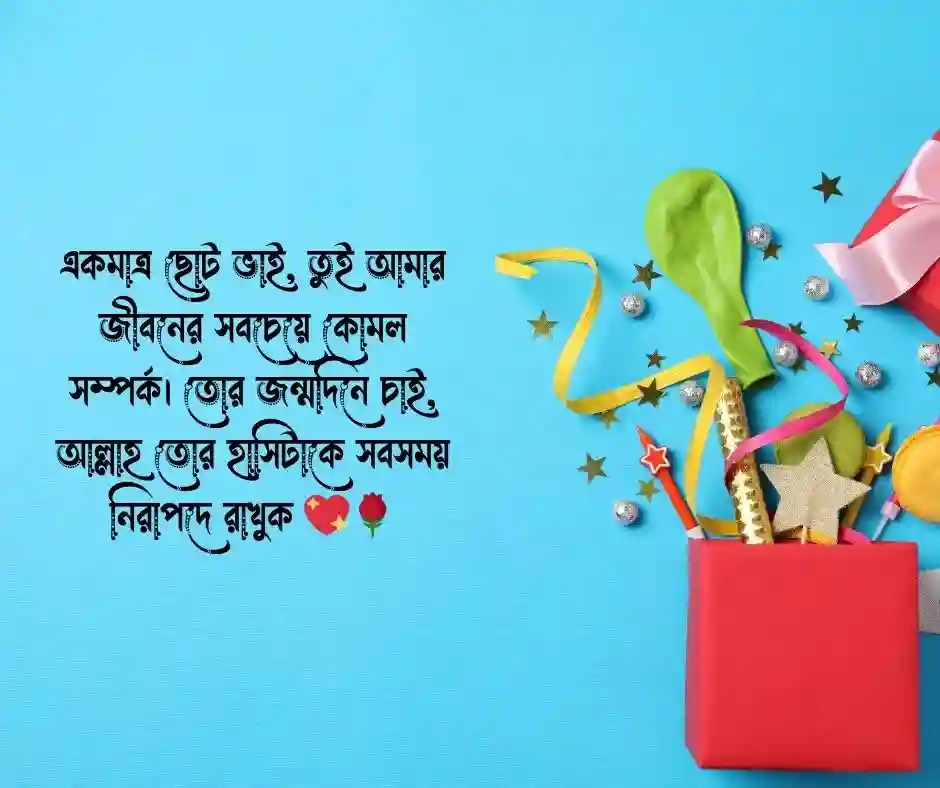 একমাত্র ছোট ভাইয়ের জন্মদিনের শুভেচ্ছা