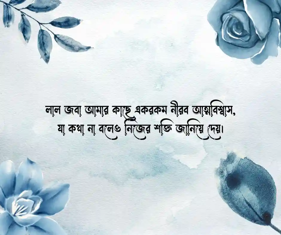লাল জবা ফুল নিয়ে ক্যাপশন  রক্ত জবা ফুল নিয়ে ক্যাপশন