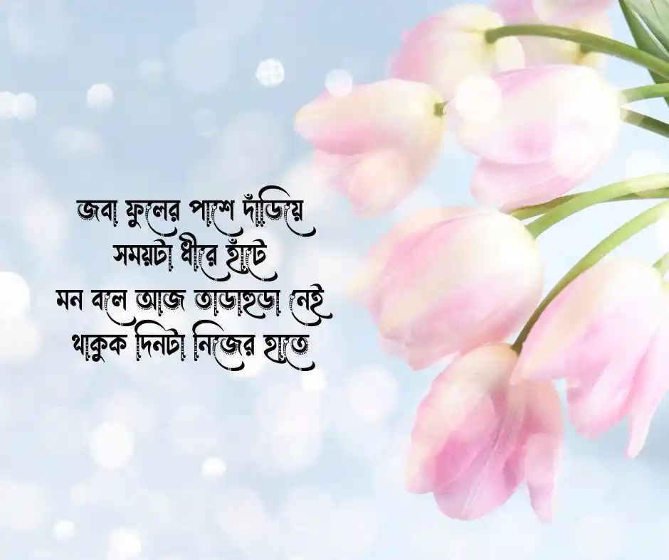 জবা ফুল নিয়ে কবিতা