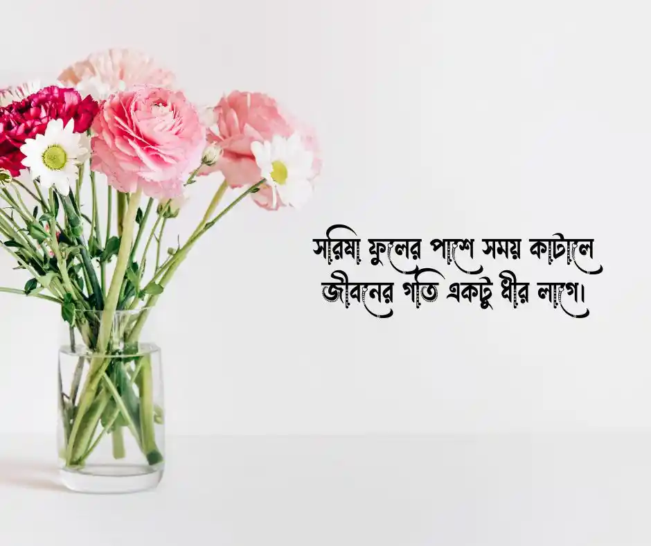 সরিষা ফুল নিয়ে স্ট্যাটাস