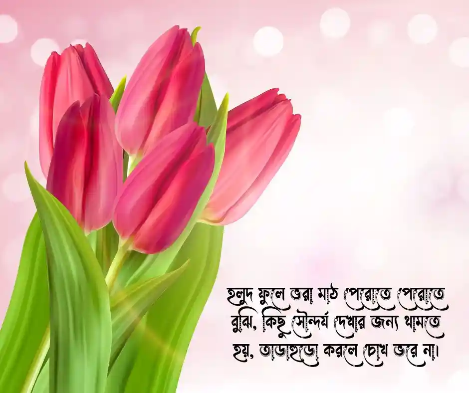 শীতের সরিষা ফুল নিয়ে ক্যাপশন