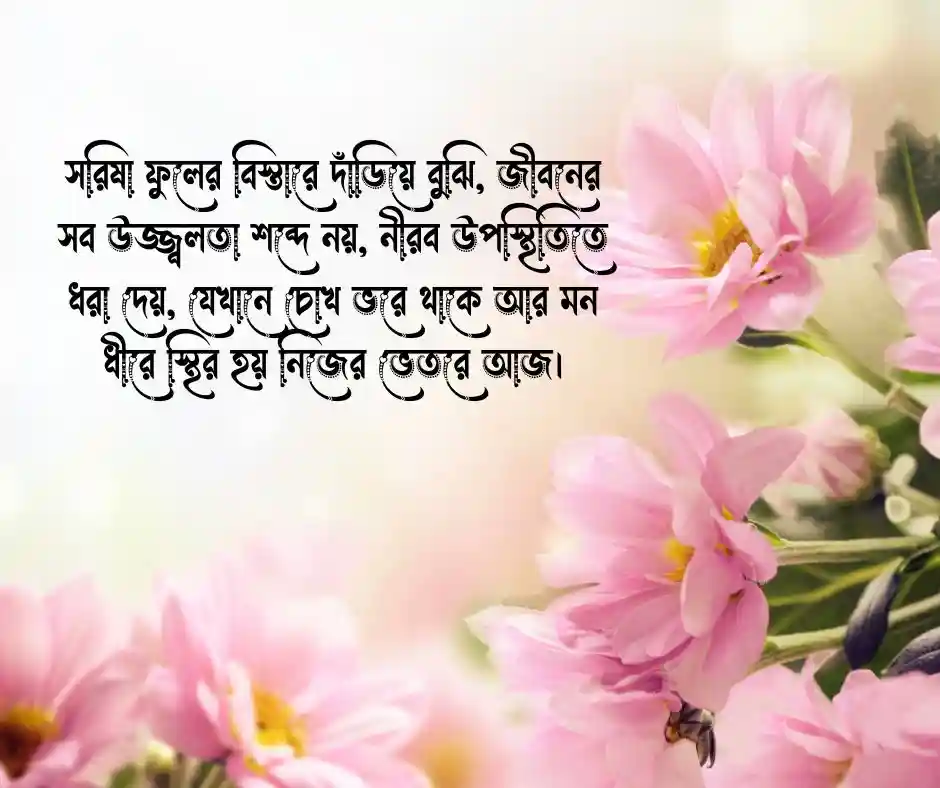 সরিষা ফুল নিয়ে কিছু কথা