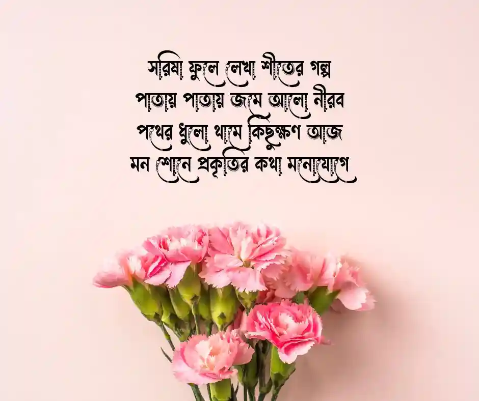 সরিষা ফুল নিয়ে ছন্দ