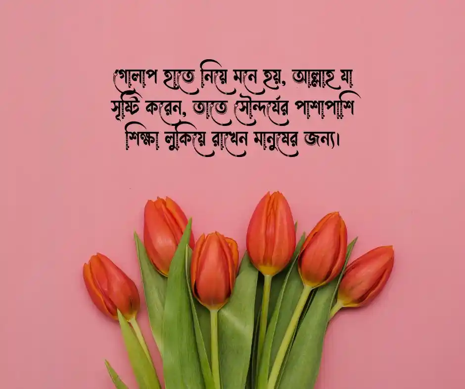 গোলাপ ফুল নিয়ে ইসলামিক ক্যাপশন