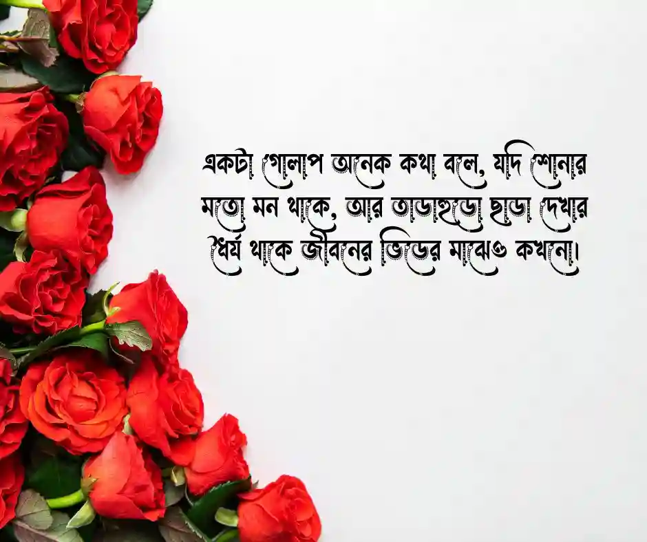 গোলাপ ফুল নিয়ে কিছু কথা