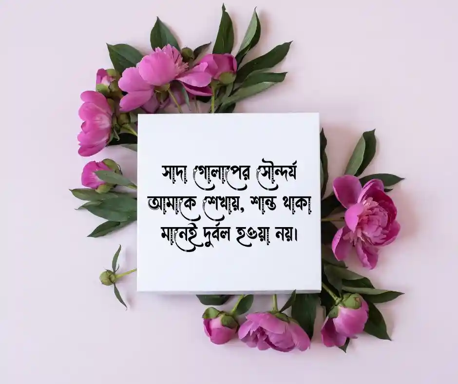 সাদা গোলাপ ফুল নিয়ে ক্যাপশন