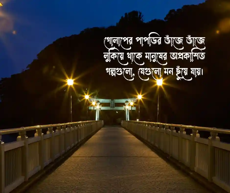 হাতে গোলাপ ফুলের ছবি  গোলাপ ফুল ছবি ডাউনলোড