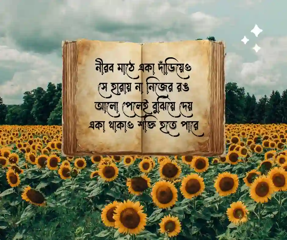 সূর্যমুখী ফুল নিয়ে কবিতা
