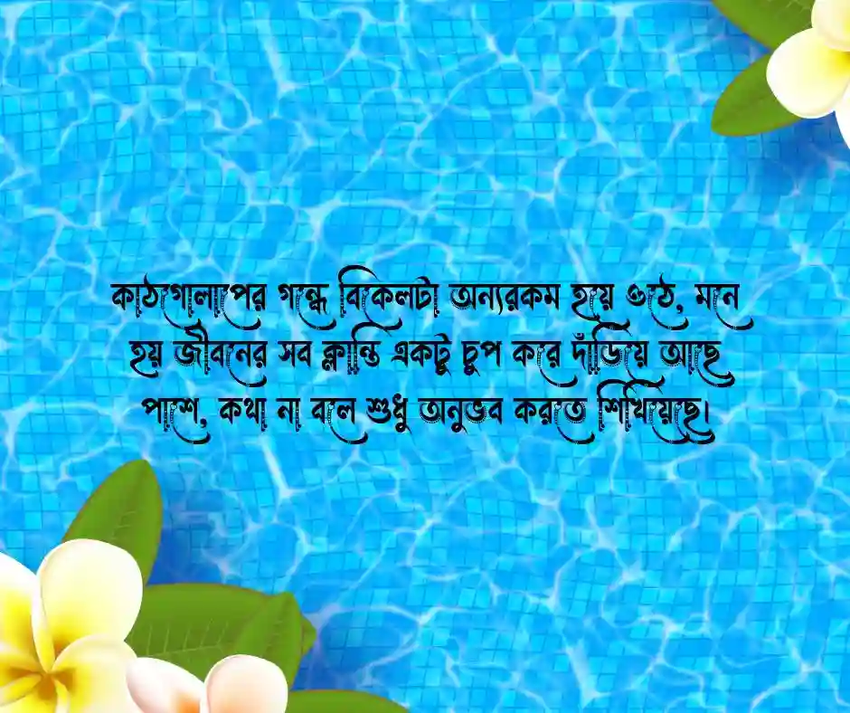 কাঠগোলাপ নিয়ে ক্যাপশন