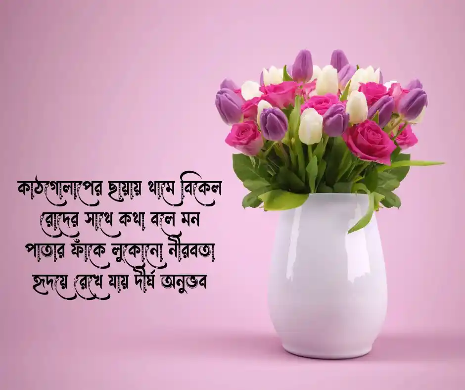 কাঠগোলাপ নিয়ে ছন্দ