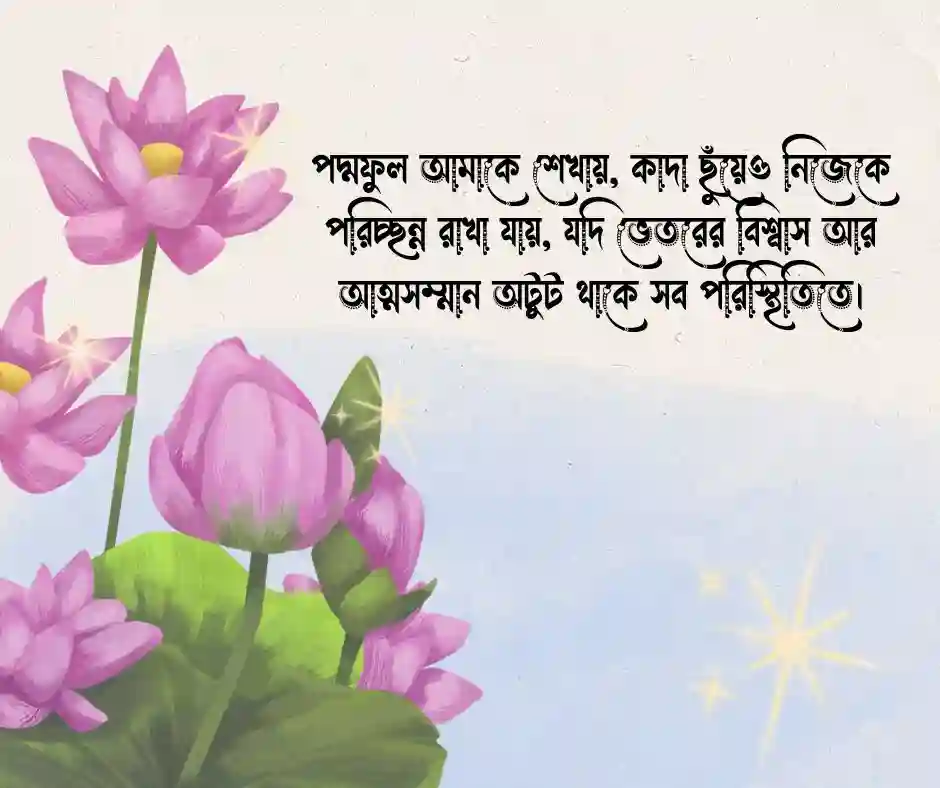 পদ্ম ফুল নিয়ে ক্যাপশন