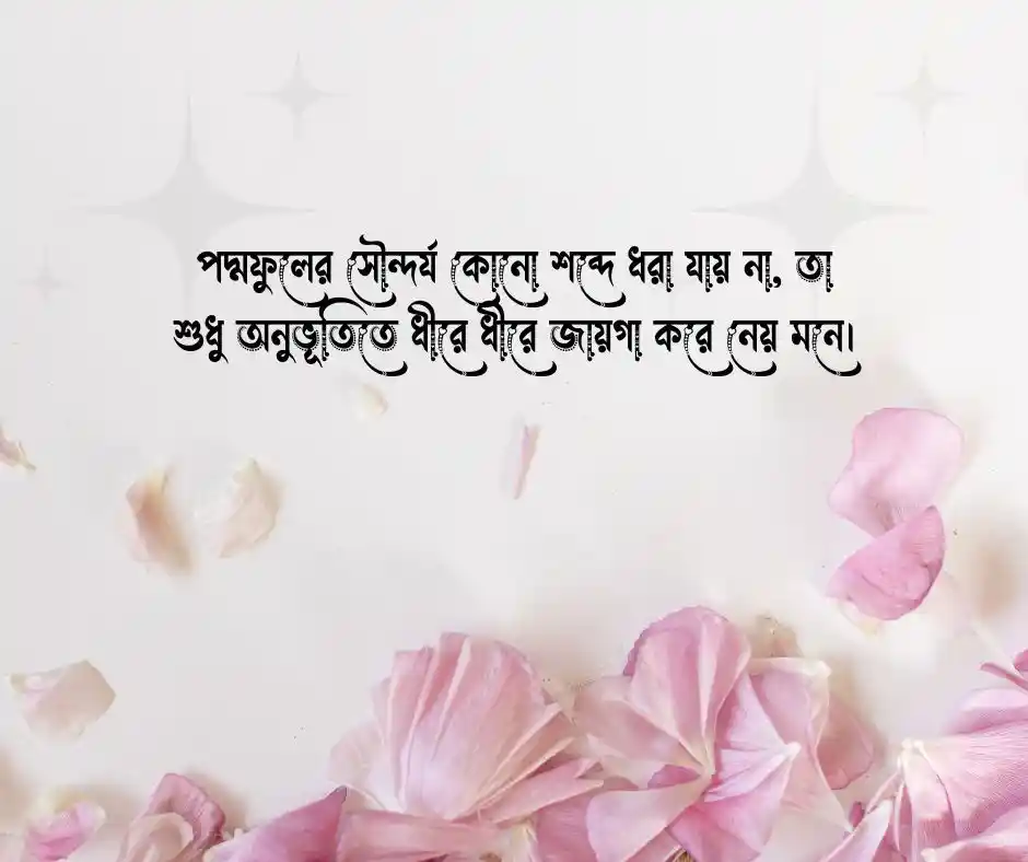 পদ্ম ফুল নিয়ে উক্তি