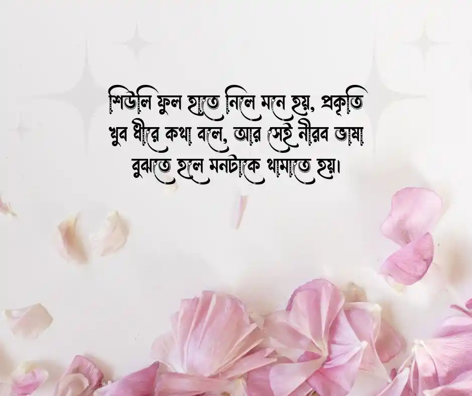 শিউলি ফুল নিয়ে ক্যাপশন