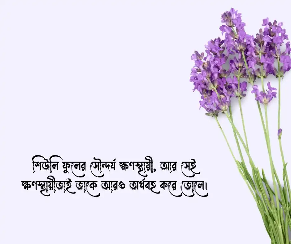 শিউলি ফুল নিয়ে উক্তি