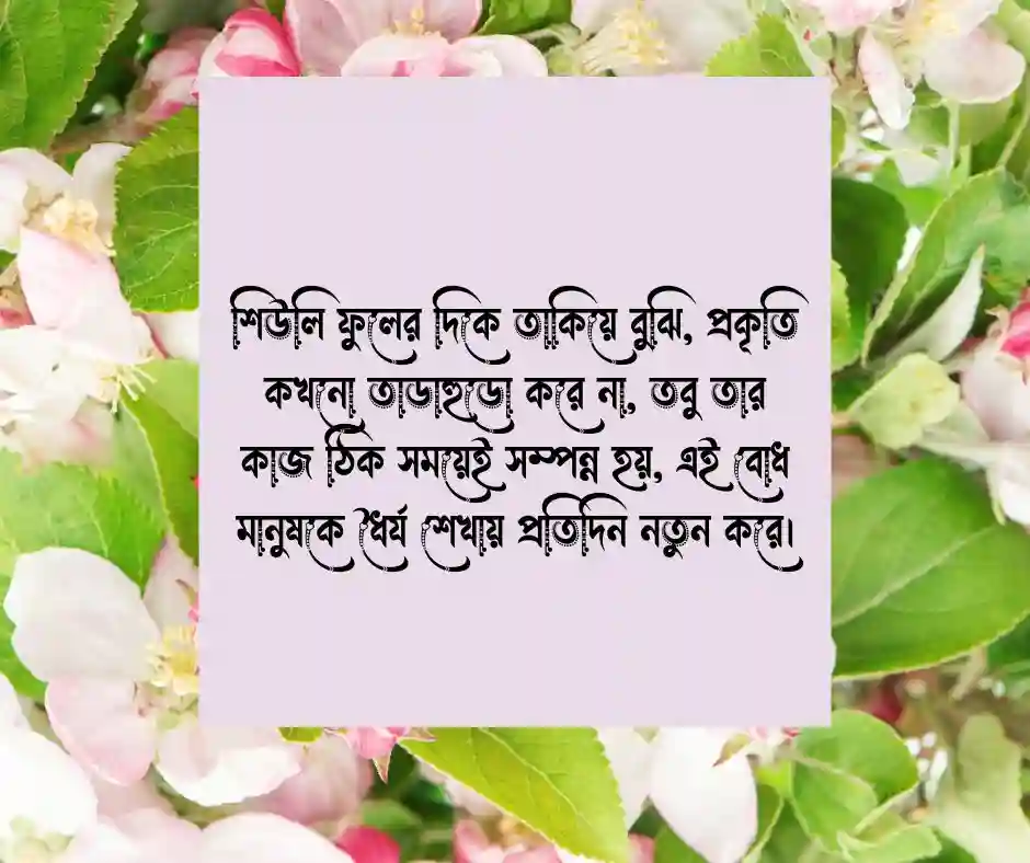 শিউলি ফুল নিয়ে কিছু কথা