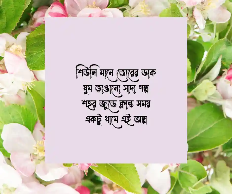 শিউলি ফুল নিয়ে কবিতা