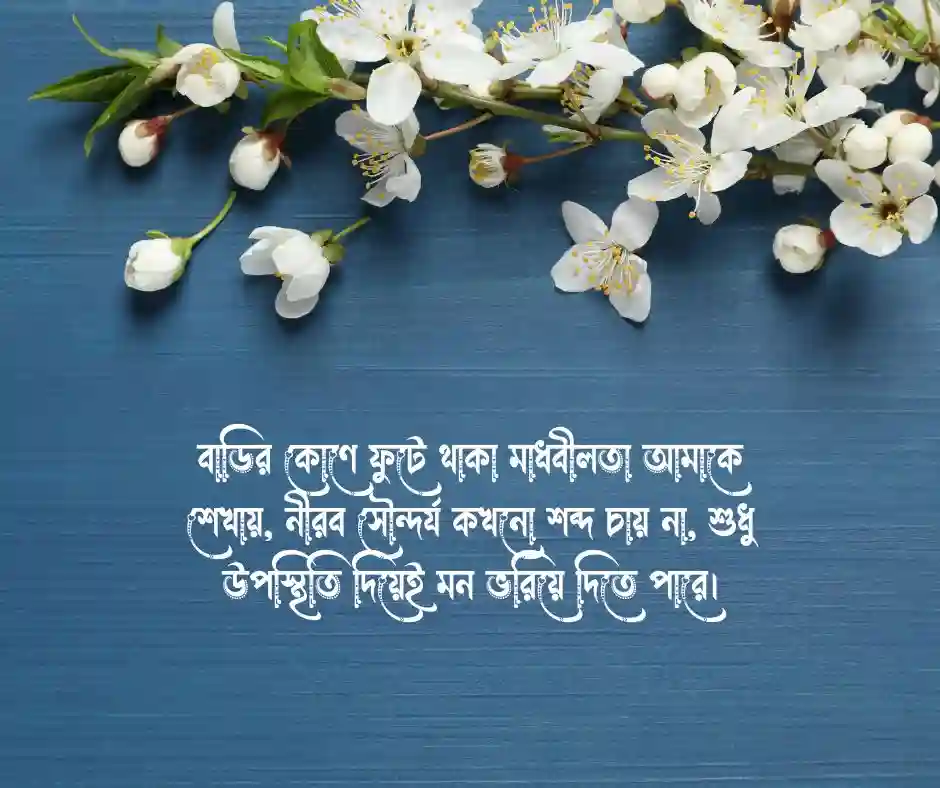 মাধবীলতা ফুল নিয়ে ক্যাপশন