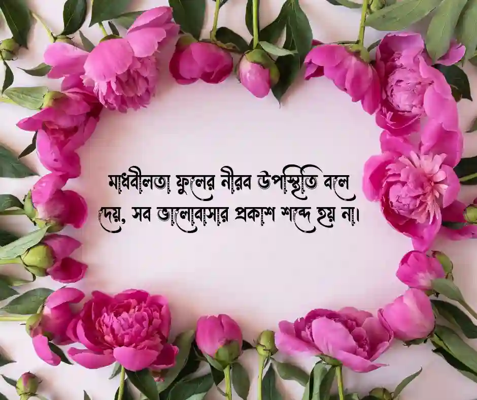 মাধবীলতা ফুল ক্যাপশন