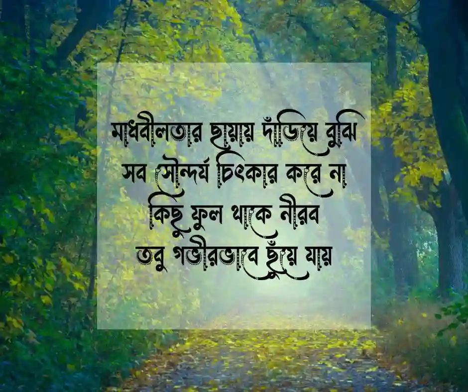 মাধবীলতা ফুল নিয়ে কবিতা