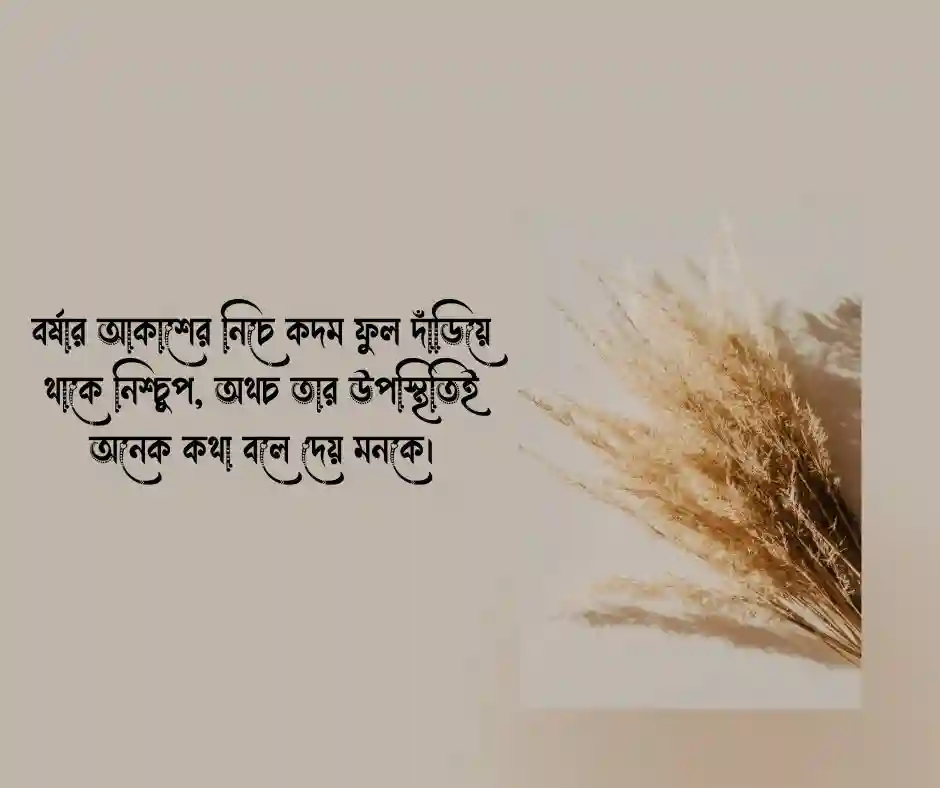বর্ষার কদম ফুল নিয়ে ক্যাপশন