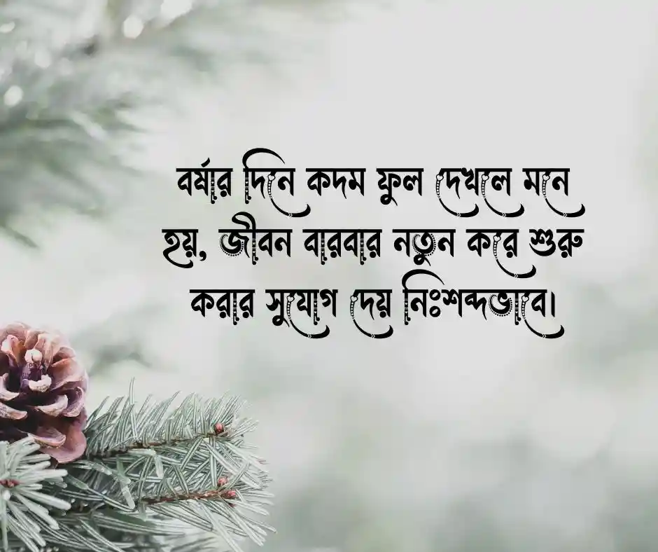 কদম ফুল নিয়ে স্ট্যাটাস