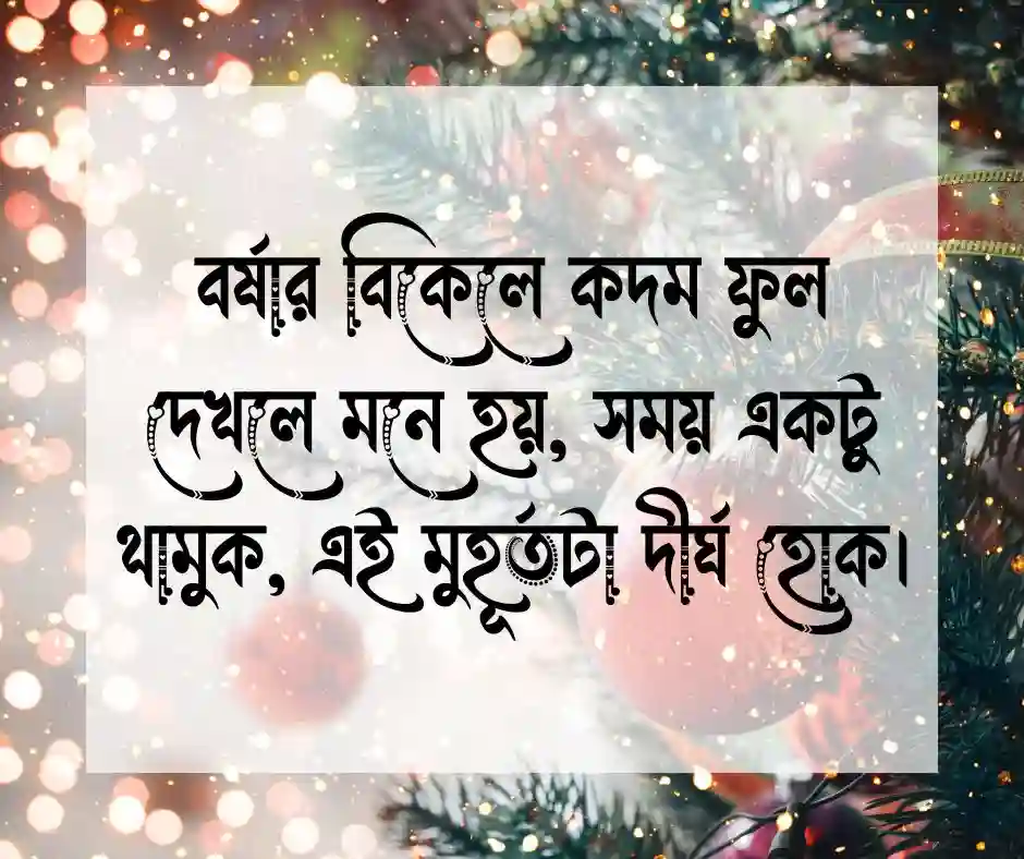 কদম ফুল নিয়ে উক্তি