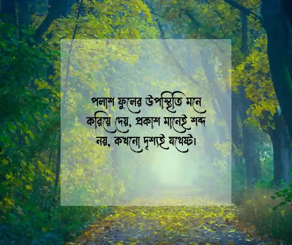 পলাশ ফুল নিয়ে ছোট ক্যাপশন