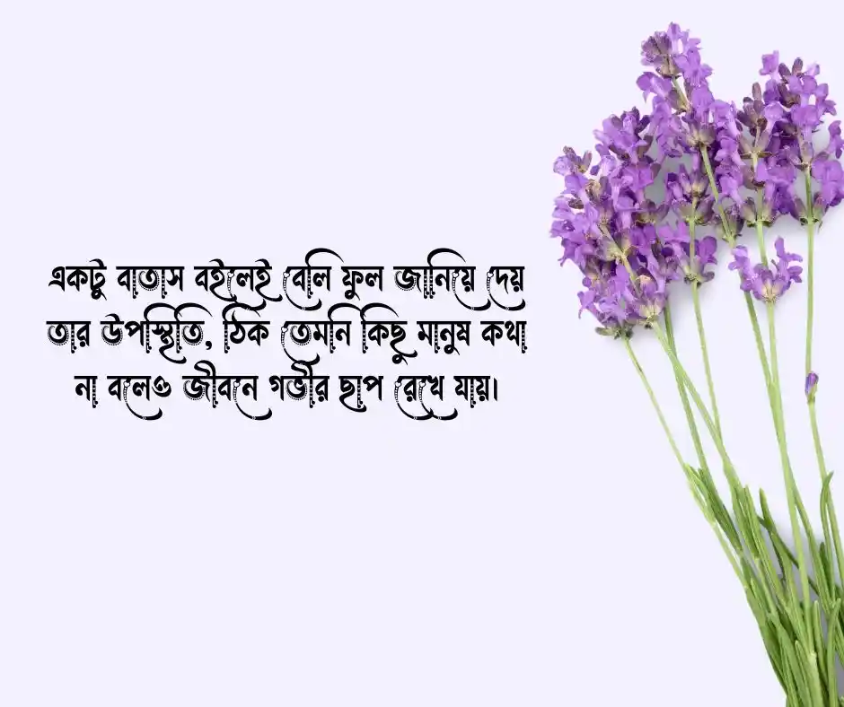 বেলি ফুল নিয়ে ক্যাপশন