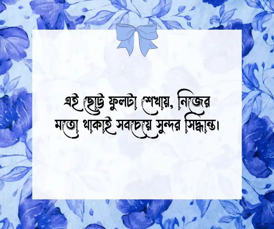বেলি ফুল নিয়ে কিছু ক্যাপশন