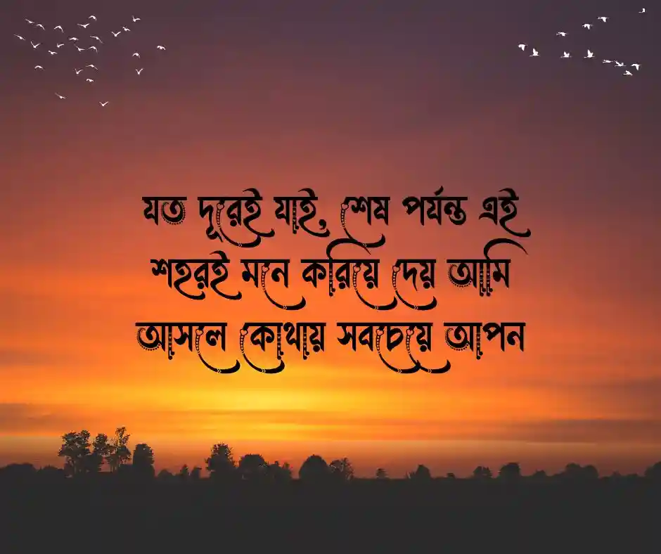 প্রিয় শহর নিয়ে ক্যাপশন