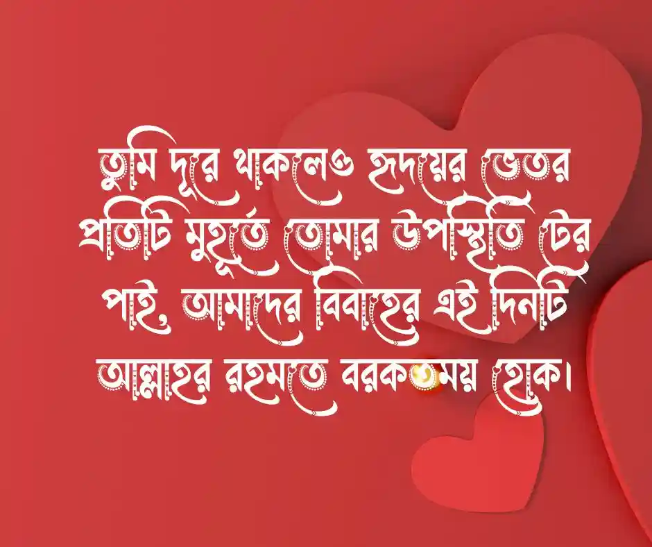 প্রবাসী স্বামীকে বিবাহ বার্ষিকী শুভেচ্ছা
