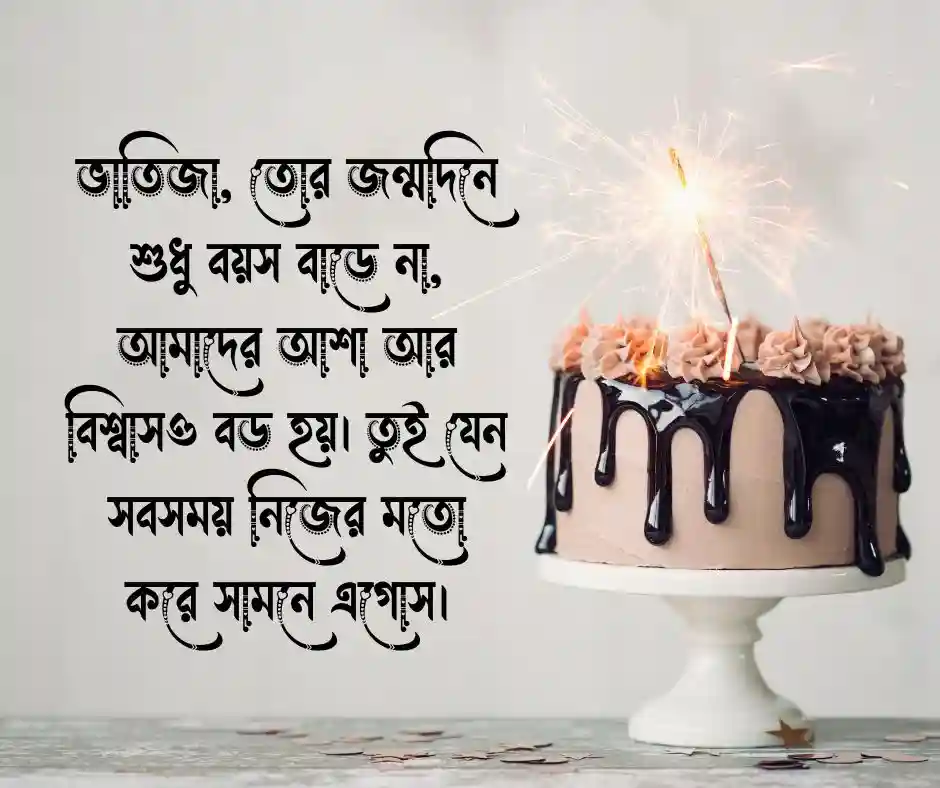 ভাতিজার জন্মদিনের শুভেচ্ছা স্ট্যাটাস