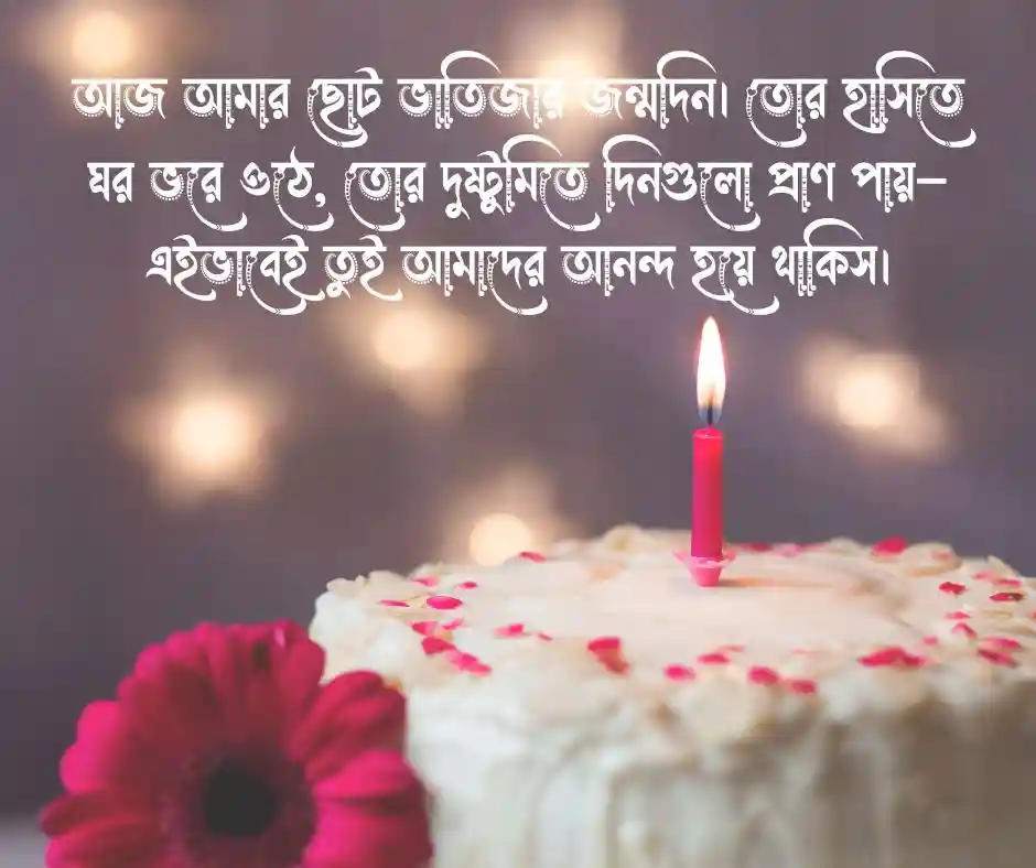 ছোট ভাতিজার জন্মদিনের শুভেচ্ছা স্ট্যাটাস