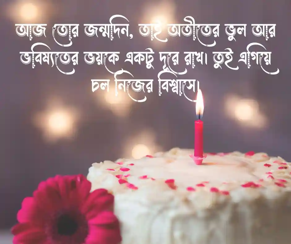 ভাতিজার জন্মদিনের শুভেচ্ছা স্ট্যাটাস