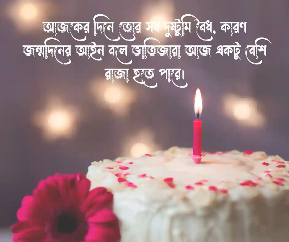 ভাতিজার জন্মদিনের শুভেচ্ছা ফানি