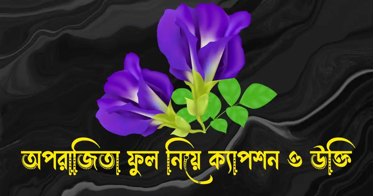 অপরাজিতা ফুল নিয়ে ক্যাপশন, উক্তি ও কবিতা
