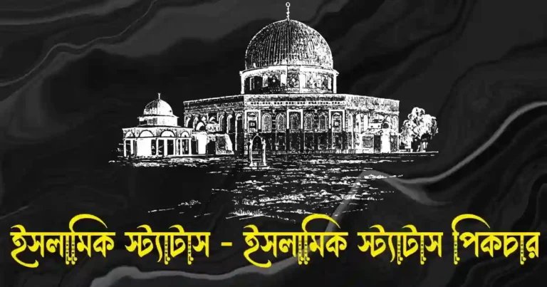 ইসলামিক স্ট্যাটাস - ইসলামিক স্ট্যাটাস পিকচার Islamic Status Picture